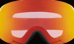 Freeride Goggle